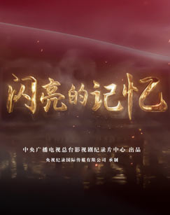 闪亮的记忆（连播版）