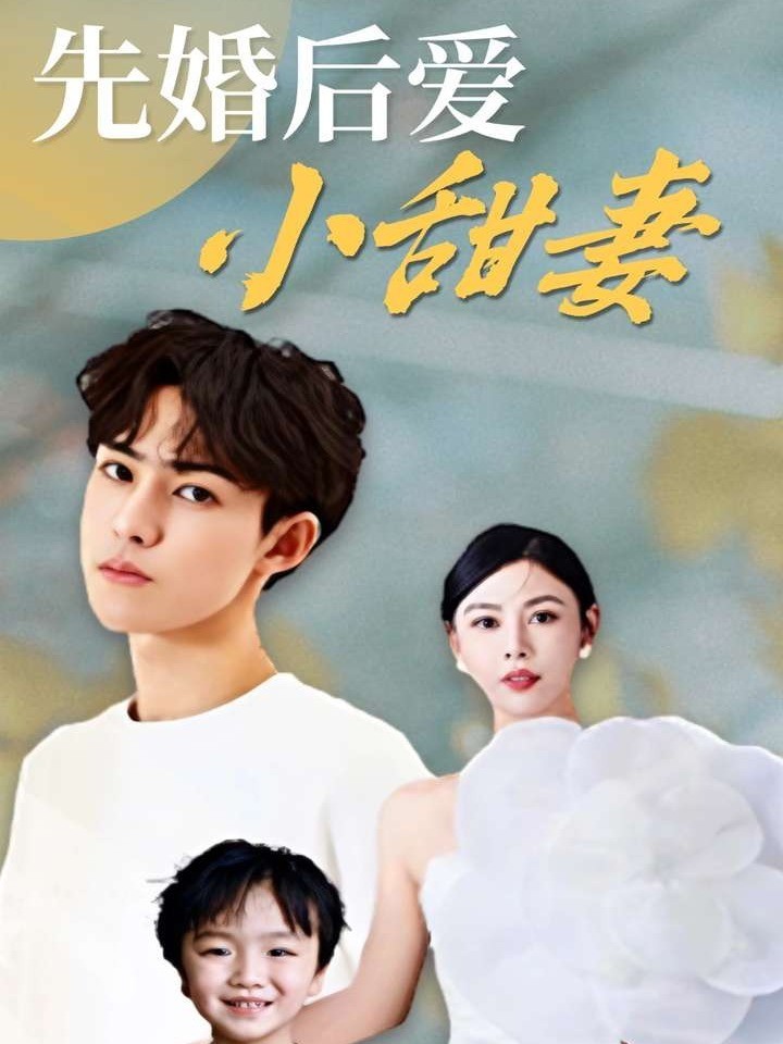 先婚后爱小甜妻